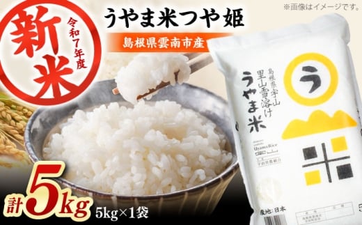 新米 コメ つや姫 白米 5キロ