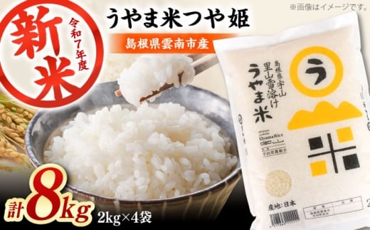 新米 コメ つや姫 白米 島根