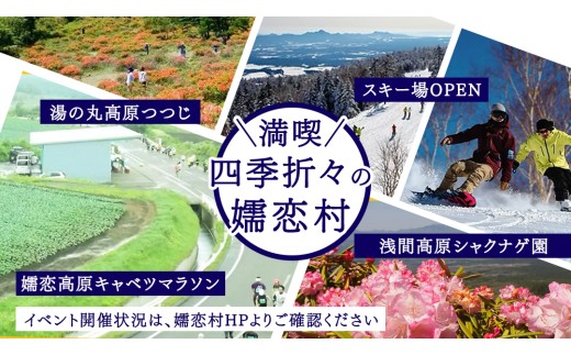 群馬県嬬恋村のふるさと納税 嬬恋村 で使える 感謝券30,000円分 (30枚) 温泉総選挙 万座温泉 万座 鹿沢温泉 観光 旅行券 宿泊券 宿泊補助券 旅行 温泉 スキー ペンション ホテル 旅館 トラベル 父の日 母の日 敬老の日 浅間高原 鹿沢 バラギ 北軽井沢 エリア 関東 30000円 クーポン チケット 国内旅行 お泊り 日帰り 観光地応援 [AO007tu]