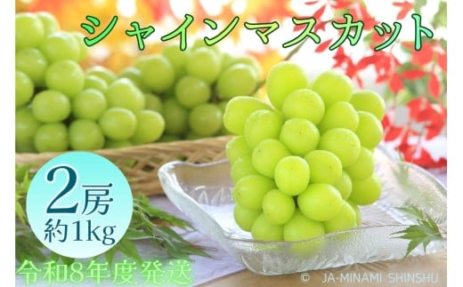 8-J29 シャインマスカット 秀品 約1kg(2房) 1687381 - 長野県喬木村