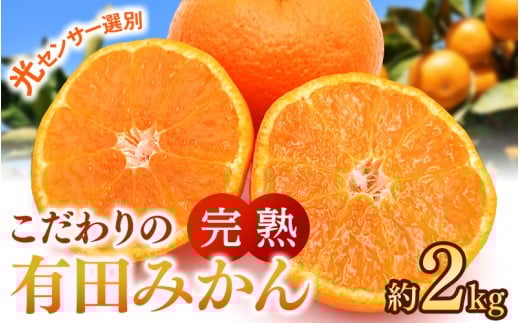 こだわりの有田みかん 約2kg【ご家庭用】【11月発送】 光センサー選別品 農家直送品 ※北海道・沖縄・離島配送不可 / みかん 有田みかん 温州みかん 柑橘 果物 くだもの フルーツ 有田 和歌山 和歌山県産 産地直送 【nuk159-11A】  2106348 - 和歌山県由良町