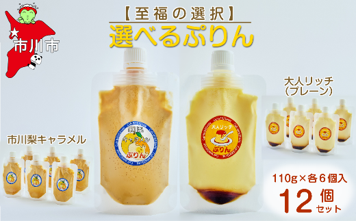 【至福の選択】選べる12個セット(市川梨キャラメル×大人リッチ)ぷりん 【12203-0346】