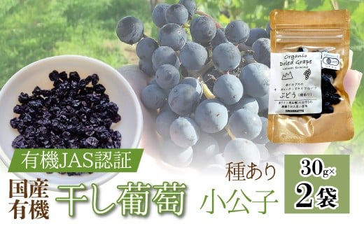 【国産有機】干し葡萄 小公子(種あり) 30g×3袋 ALPEL005