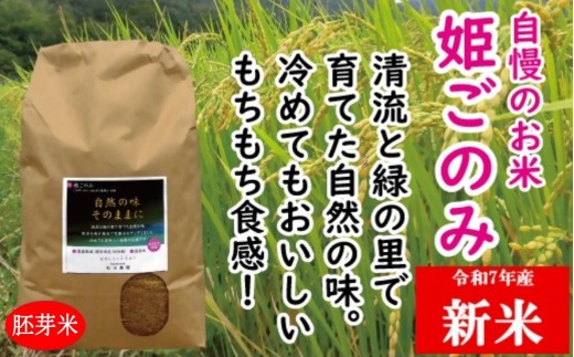 ZZ-24　米　おいしいお米　姫ごのみ（胚芽米）10kg 2350935 - 岡山県和気町