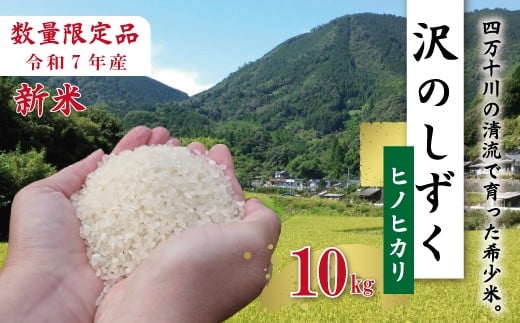 【10kg】令和7年産 米 ヒノヒカリ 精米 白米 沢のしずく 10kg×1袋 2025年 四万十市産 国産 ひのひかり おこめ こめ コメ ご飯 ごはん おいしい ふっくら もちもち 高知県 高知 四万十市 四万十 しまんと お取り寄せ 25-739
