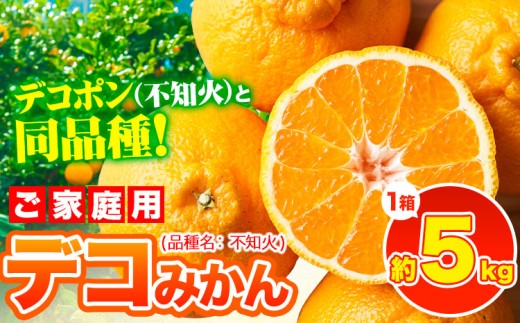 デコポン ( 不知火 )と同品種！デコみかん 熊本県産 (津奈木町産含む) 訳あり 約5kg前後(12-24玉前後) 柑橘《2月中旬-4月末頃出荷》 みかん フルーツ 不知火 先行予約 訳あり 訳アリ ご家庭用 でこみかん 果物 予約受付 811586 - 熊本県津奈木町
