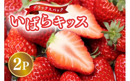 【2026年先行予約】デラックスパック いばらキッス 2p いちご イチゴ 苺 果物 フルーツ くだもの 茨城県 石岡市 A32-021