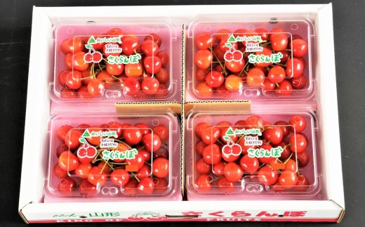 さくらんぼ(佐藤錦か紅秀峰)720g(180g×4パック) フードパック入り 0020-2607