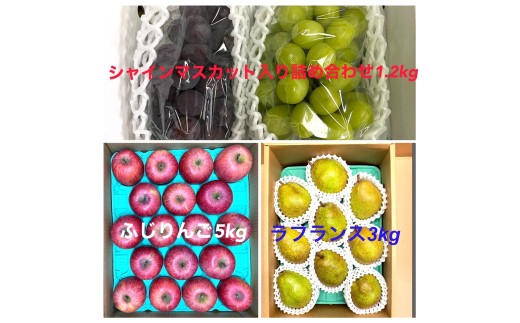 【定期便:全3回】フルーツセット(シャインマスカット入詰め合わせぶどう、ラ・フランス、りんご) 0065-2602