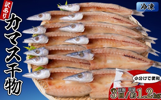 カマスの干物 6袋（約12尾） 【3回分】