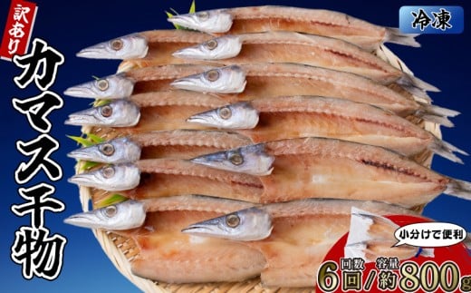 カマスの干物 4袋（約8枚） 【6回分】