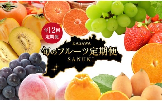 【定期便全12回】香川県さぬき市 フルーツ厳選定期便