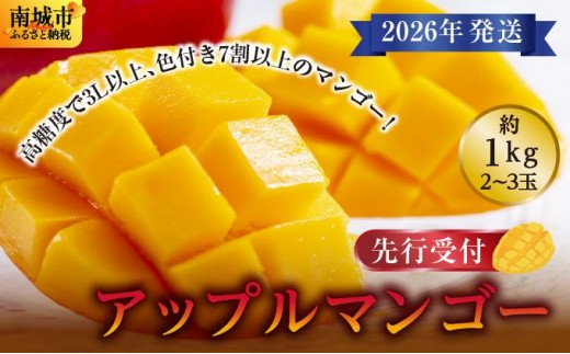 (先行受付)【2026年発送】アップルマンゴー 南城市 約1kg (2~3玉)