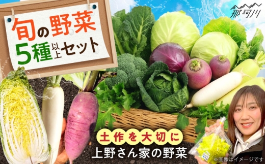 旬の野菜セット 5種類以上＜上野さん家の野菜＞那珂川市 [GGD001]