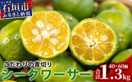 【先行予約】≪2026年8月以降順次発送≫こだわりの青切りシークワーサー 1.3kg 約40〜60個 【 産地直送 沖縄 石垣島 石垣 八重山 シークワーサー 柑橘 フルーツ くだもの 果物 】TF-041 1469234 - 沖縄県石垣市