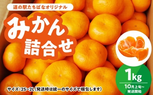 <道の駅たちばなオリジナル>みかん1kg詰合せ 早生みかん 中生みかん 晩生みかん ミカン オレンジ 果物 フルーツ