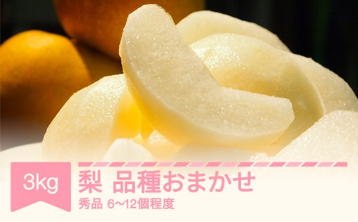 【先行予約】梨 品種おまかせ 秀品 約3㎏ (6～12個程度) 山形県産 令和8年産 2026年産 フルーツ 果物 sb-nahkx3