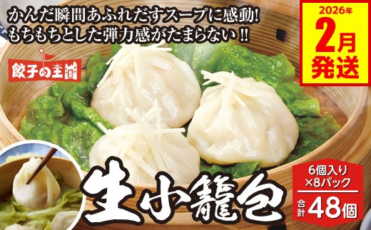 生小籠包 48個 餃子の王国 （小籠包 八代市産生姜使用） 小分け おかず 点心 中華 惣菜 小籠包 しょうが ショウガ お肉 豚肉 国産 モチモチ食感 簡単調理 小分けパック 熊本県 八代市 九州 冷凍【2026年2月発送】