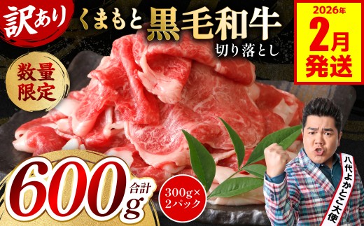 【訳あり】 くまもと黒毛和牛 切り落とし 600g（300g×2）（ 黒毛和牛 牛肉 和牛 ブランド牛 ブランド和牛 訳あり牛肉 ブランド牛肉 牛肉切り落とし ブランド牛切り落とし 小分け 熊本県産 くまもと 国産 人気 毎月数量限定 ）【2026年2月発送】