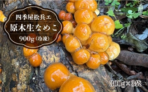 四季屋松兵エ　原木生なめこ 900g (冷凍) 