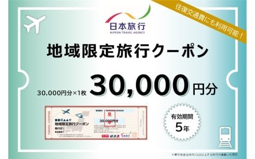沖縄県石垣市　地域限定旅行クーポン30,000円分 【 日本旅行 トラベルクーポン 納税チケット 旅行 宿泊券 ホテル 観光 旅行 旅行券 交通費 体験 宿泊 夏休み 冬休み 家族旅行 ひとり旅 カップル 夫婦 親子 石垣島旅行 】 NR-1