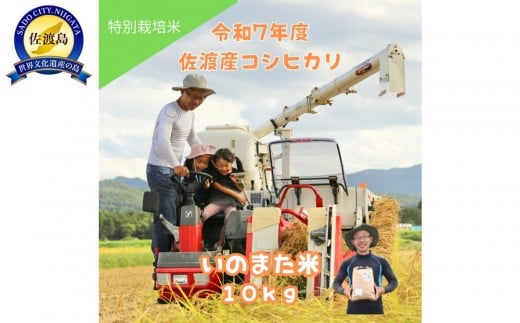 令和7年産コシヒカリ　精米（無洗米）10kg　農家直送　佐渡市いのまた米 2351067 - 新潟県佐渡市