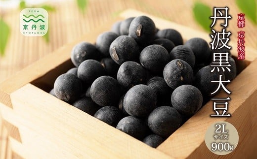 【 年内発送 】 丹波黒大豆 2Lサイズ 900g お正月 おせち用 京都 京丹波町産 丹波黒豆 新豆 国産 お取り寄せ ご当地グルメ 生産者限定 令和7年産 2L 生豆 大粒 小分け ※北海道・沖縄・その他離島への配送不可 [029KK001L]