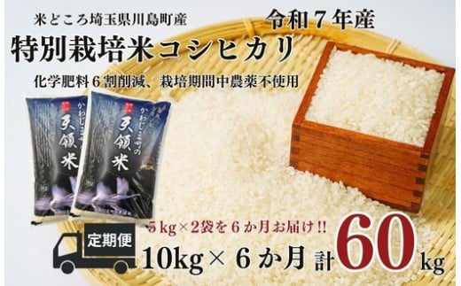 定期便６か月【令和7年度産　特別栽培米】埼玉県かわじま町　天領米（コシヒカリ） 5kg×２袋　計６０kg