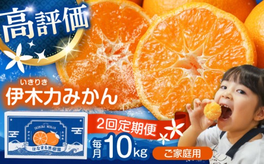 【2回定期便】※【2026年11月上旬より順次発送／先行予約】伊木力みかん(家庭用) 10kg / みかん ミカン 蜜柑 柑橘 フルーツ ふるーつ 果物 くだもの / 諫早市 / 山野果樹園 [AHCF012]