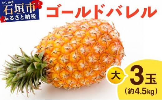 ≪5月上旬順次発送≫ゴールドバレル 大 3玉（約4.5kg） TP-17