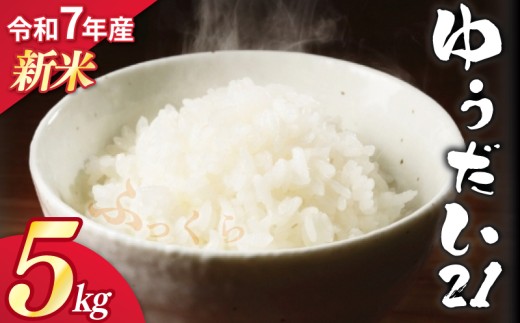 【 新米 】 令和7年産 白米 精米 5kg ゆうだい21 もちもち 一粒一粒 大きい うま味 甘 粘 お弁当 おにぎり 産地直送 農家直送 お米 こめ ブランド 高級 米 ご飯 ごはん 白米 贈り物 贈答 都祁地産地消推進会 宇都宮 大学 奈良県 奈良市 2360512 - 奈良県奈良市