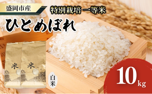 盛岡 大櫻農園 「ひとめぼれ 白米」10kg 特別栽培 一等米 2025年産新米 お米 精米 白米 こめ コメ おこめ ごはん ブランド米 常温 国産 岩手県 岩手 盛岡市産  2358520 - 岩手県盛岡市