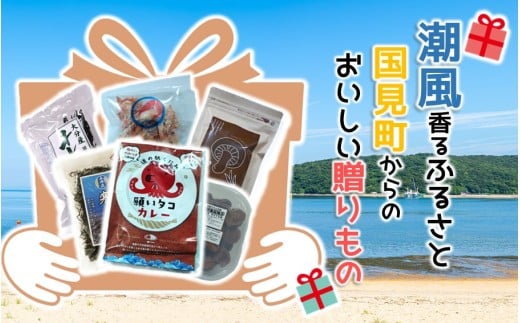 潮風香るふるさと 国見町からのおいしい贈りもの 大分県 セット 詰合せ カレー わかめ ひじき 梅干し えびせん 椎茸_2631R