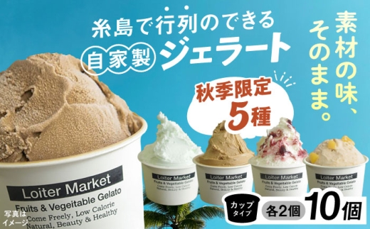 【秋季限定】ジェラートカップ 10個セット 5種類×各2個 (八女ほうじ茶/塩/カフェオレ/ブルーベリーヨーグルト/和栗) 糸島市 / Loiter Market lABO ロイターマーケット [AGD037]