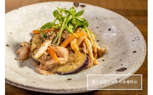 香川県善通寺市のふるさと納税 国産!!豚肉こま切れ4.2kg(500g×8袋、200g×1袋)