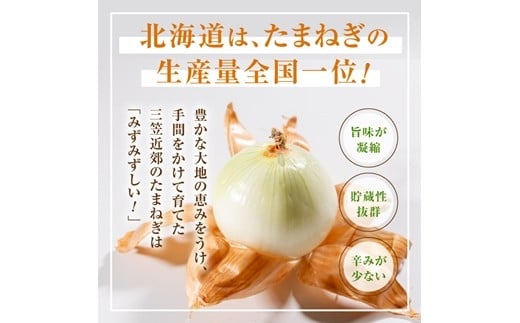 三笠aroundたまねぎＬサイズ10kg《11月下旬頃より発送予定》