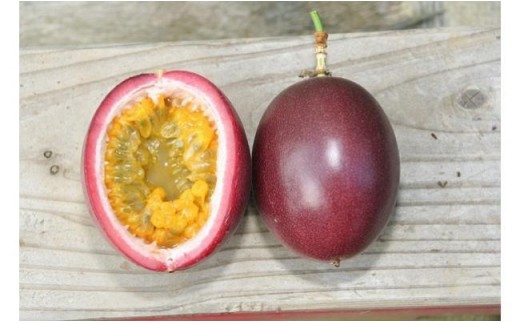 鹿児島県屋久島町のふるさと納税 【2026年発送先行受付】絶品パッションフルーツM玉(20玉)“屋久島の恵み”と“愛情”込めて！【パッションフルーツ パッション フルーツ 果物 くだもの お取り寄せ 期間限定 数量限定 人気 おすすめ 鹿児島県 屋久島町 NP19】