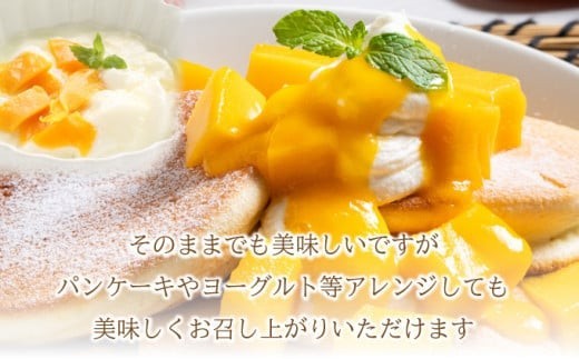 沖縄県石垣市のふるさと納税 【2026年6月末から順次発送】2L～3L マンゴー2～3玉（約1kg） 【 産地直送 旬 フルーツ 新鮮 完熟 マンゴー 石垣 沖縄 】KP-24