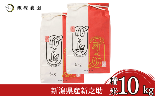 新潟県産新之助10kg 令和7年産 新之助 2025年産 新之助 白米 [飯塚農園]  【028S046】 2240563 - 新潟県三条市