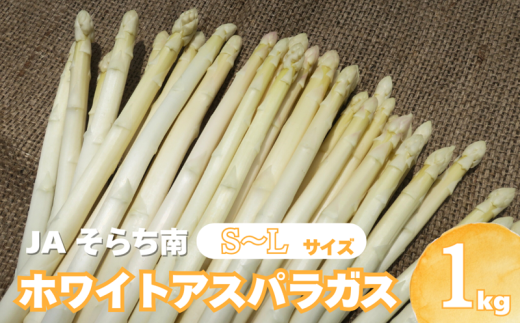【先行予約】JAそらち南の味覚「ホワイトアスパラガス」S～L　1kg前後　YC116