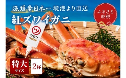 【蟹セレブ】紅ズワイガニ 特大2杯(600~700g×2)