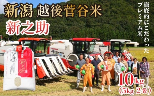 米 令和7年産 新之助 10㎏ 新潟県 新発田産 米 越後菅谷 新之助 数量限定 echigosugatani003