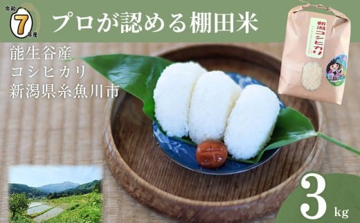 【2026年3月発送】令和7年産 新潟県能生谷産コシヒカリ 3kg プロも認める棚田米 農家直送 2025年産 JATs有限会社【新潟県 糸魚川市 米 お米 こめ コメ ご飯 ライス ふるさと納税米 ブランド米 おすすめ ギフト 3キロ 精米 白米 人気 食品 選べる配送月】