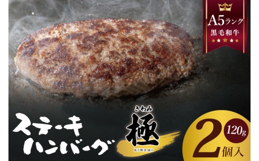 黒毛和牛　A5ランク　ステーキハンバーグ 極 120ｇ×2食入【埼玉県　春日部　国産　惣菜 冷凍　湯煎　レンジ調理　レンチン】（DH002）