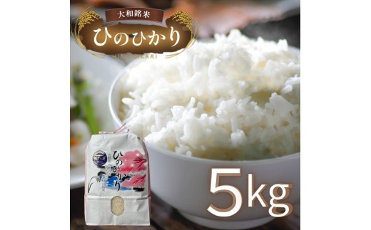 大和銘米ひのひかり5kg|お米 ヒノヒカリ 米 5キロ