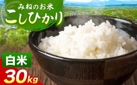 令和7年度産 こしひかり 白米 30kg| 白米  米 雑穀 お米 コメ 単一米 こしひかり コシヒカリ   山口 美祢 秋吉台