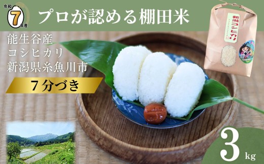 令和7年産  新潟県能生谷産コシヒカリ(7分づき)3kg プロも認める棚田米 農家直送 2025年産 JATs有限会社【新潟県 糸魚川市 米 お米 こめ コメ ご飯 ライス ふるさと納税米 ブランド米 おすすめ ギフト 3キロ 精米 白米 人気 食品 胚芽米 先行予約】