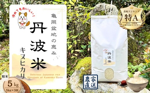【定期便】【令和7年産】新米 定期便 京都丹波産 キヌヒカリ 5kg×3回 計15kg ≪亀岡盆地の恵み 精米したてをお届け 自家栽培米 生産農家 直送 白米 米 精米≫ ※北海道・沖縄・離島へのお届け不可