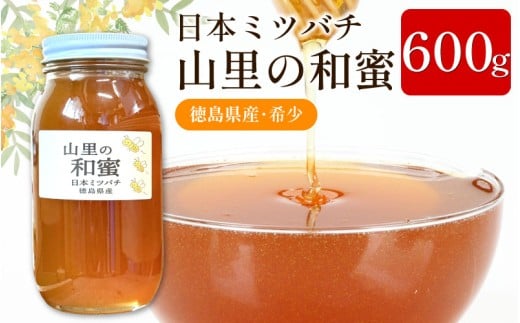 はちみつ 国産 日本みつばち 蜂蜜 600g ニホンミツバチ 純粋はちみつ 生はちみつ 百花はちみつ 百花蜂蜜 完熟 和蜜 天然 ハニー 瓶 美容 健康 ヨーグルト パンケーキ トースト 保存食 非常食 防災 菓子 産地直送 徳島県 三好市 みよし 森清秀