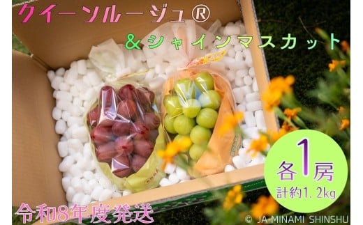 8-J32 クイーンルージュ®＆シャインマスカット 秀品 約1.2kg (各1房) 1687384 - 長野県喬木村